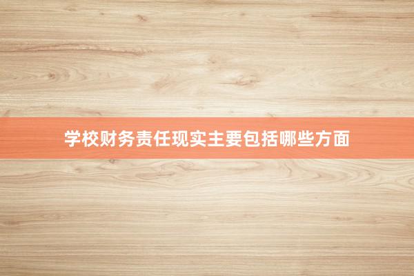 学校财务责任现实主要包括哪些方面