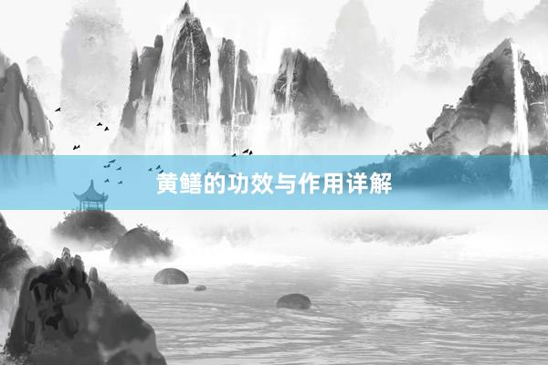 黄鳝的功效与作用详解