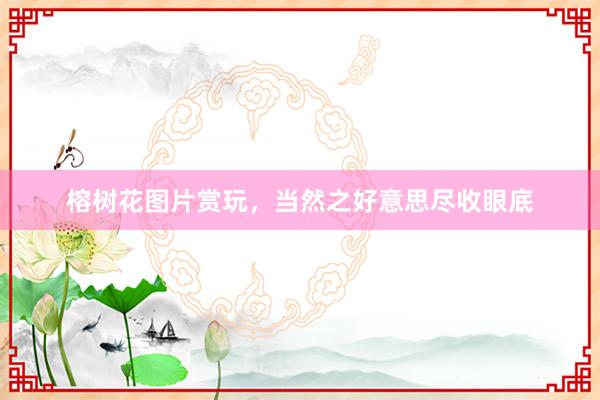 榕树花图片赏玩，当然之好意思尽收眼底